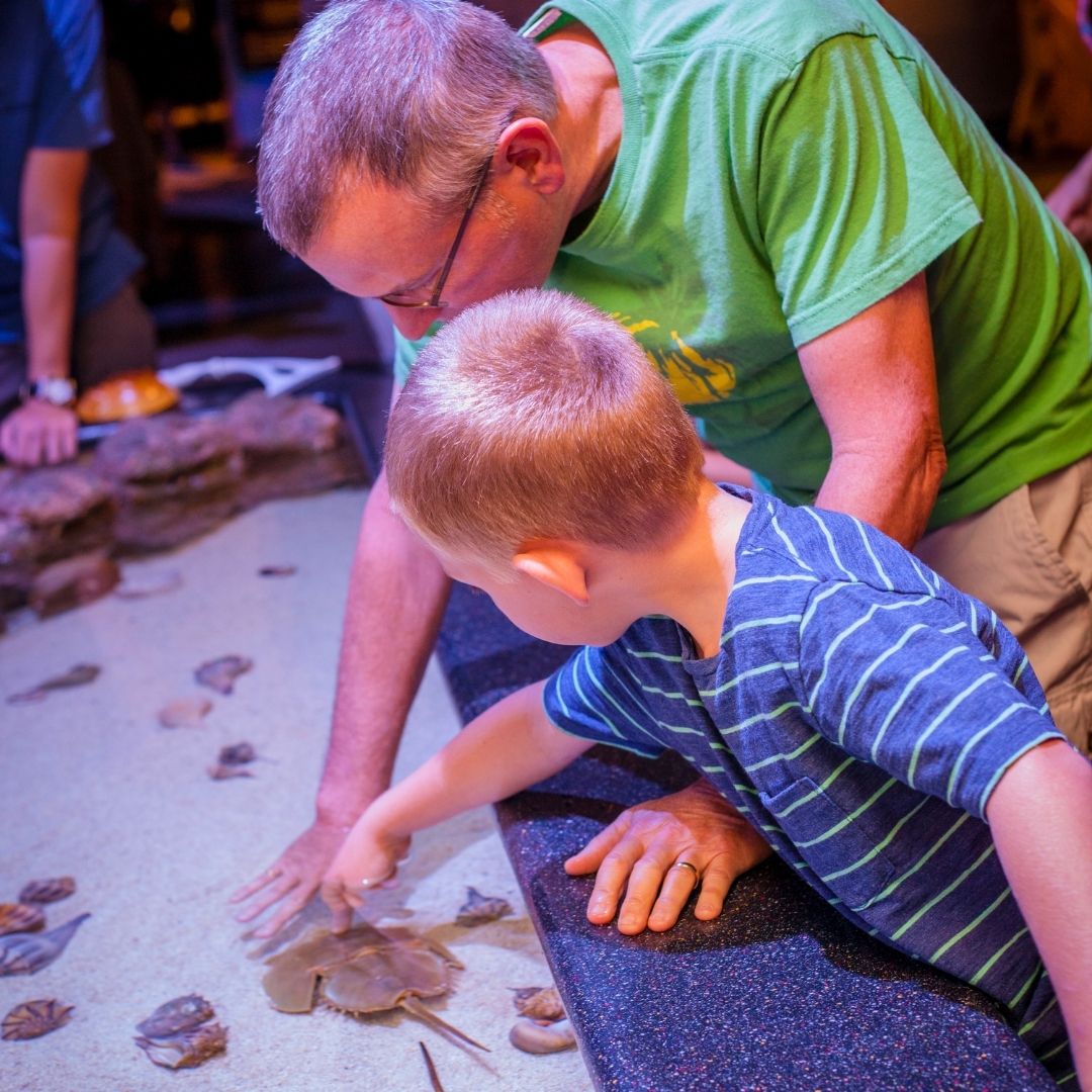 Thing To Do Rainy Day Activities